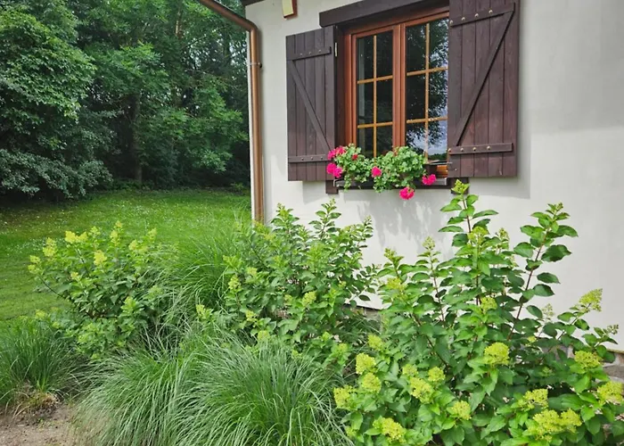 Willa Siedlisko W Starym Sadzie *